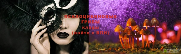 индика Инта