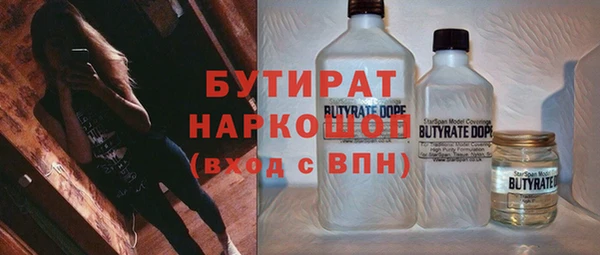 индика Инта