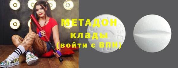 индика Инта