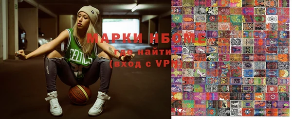 индика Инта