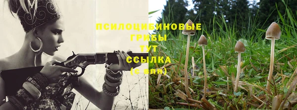 индика Инта