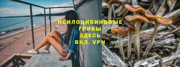 МДПВ Зерноград