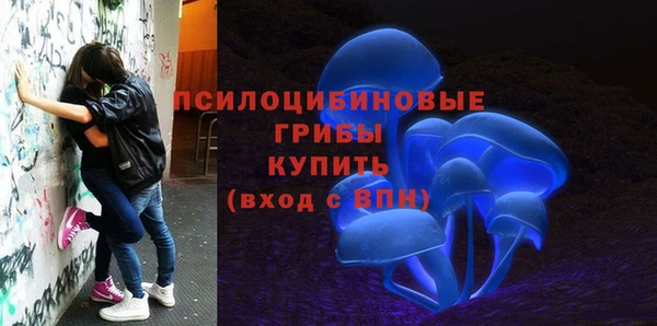 мескалин Инсар