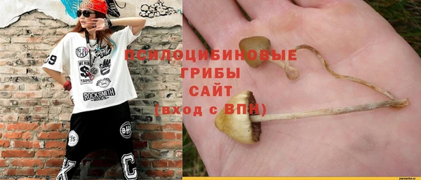 индика Инта